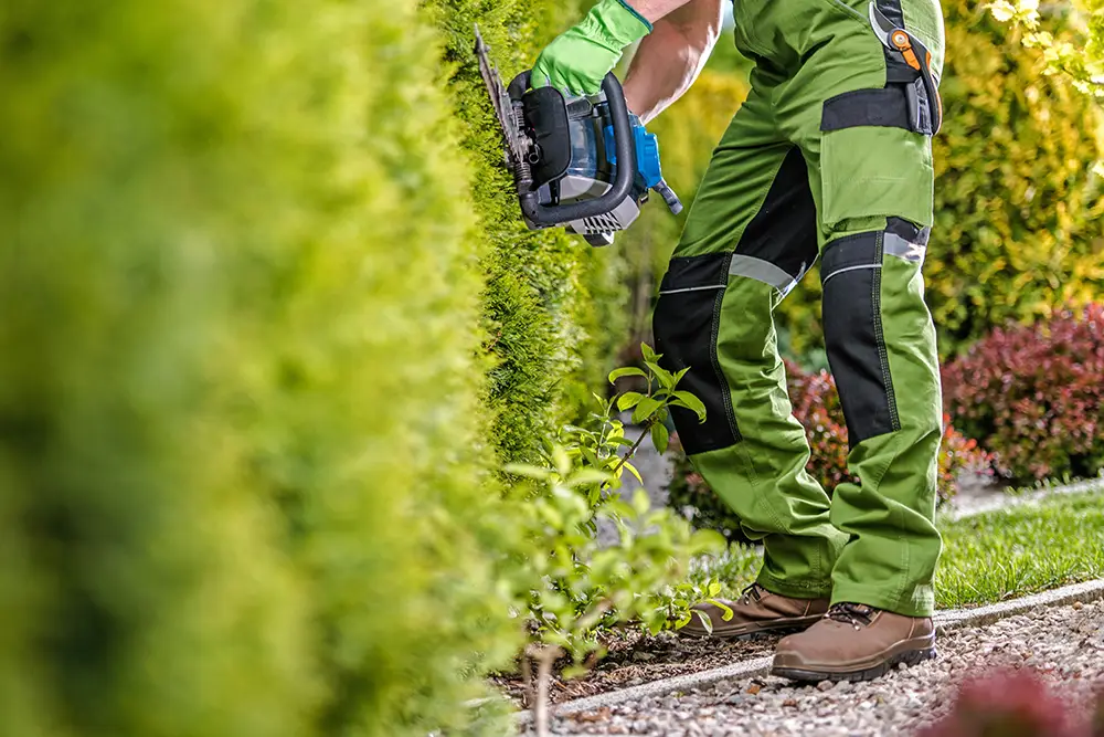 Fachgerechter Heckenschnitt in gepflegtem Garten – professionelle Gartenpflege im Raum Ahrweiler